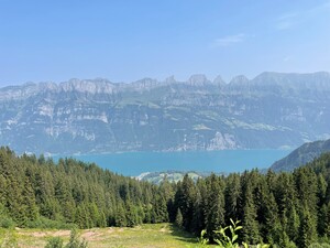 Gemeinsamstatt einsam-FLumserberg_1.jpg
